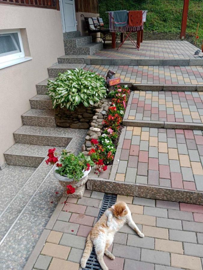 Cottage house Podobowiec Zewnętrze zdjęcie